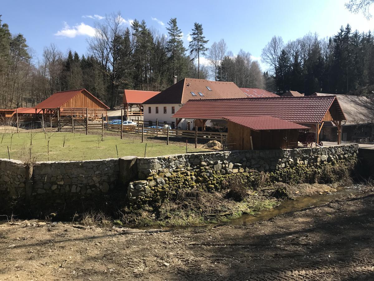 Zevluv Mlyn Hotel Nove Hrady  Exterior photo
